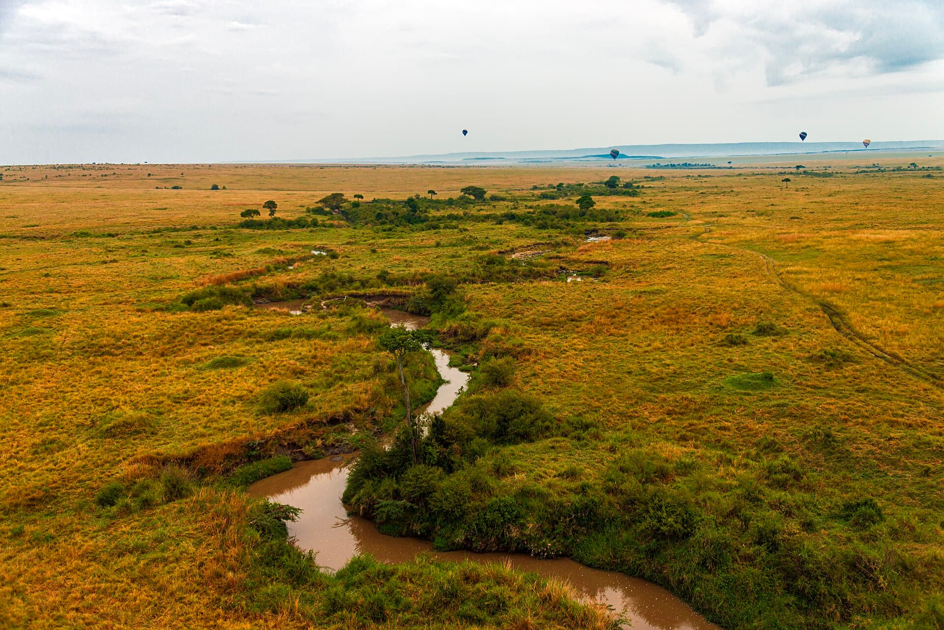 River winding through the Mara